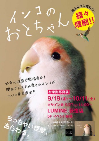 インコのおとちゃん 村東剛写真展 | 八重洲ブックセンター