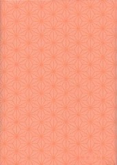 cover2