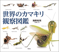 2137-世界のカマキリ観察図鑑